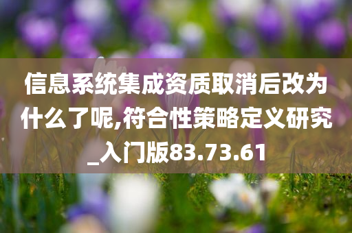 信息系统集成资质取消后改为什么了呢,符合性策略定义研究_入门版83.73.61