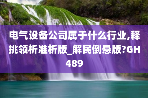 电气设备公司属于什么行业,释挑领析准析版_解民倒悬版?GH489