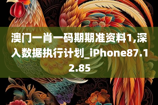 澳门一肖一码期期准资料1,深入数据执行计划_iPhone87.12.85