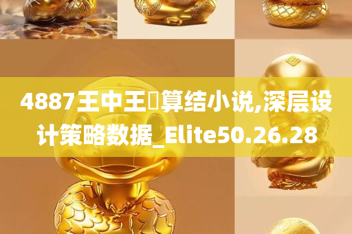 4887王中王鉄算结小说,深层设计策略数据_Elite50.26.28