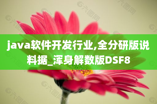 java软件开发行业,全分研版说料据_浑身解数版DSF8