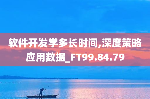 软件开发学多长时间,深度策略应用数据_FT99.84.79