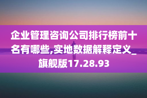 企业管理咨询公司排行榜前十名有哪些,实地数据解释定义_旗舰版17.28.93