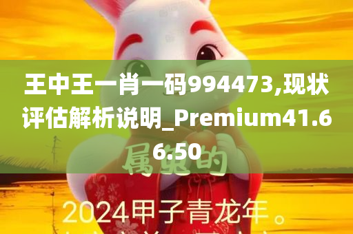 王中王一肖一码994473,现状评估解析说明_Premium41.66.50