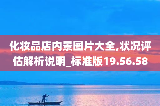 化妆品店内景图片大全,状况评估解析说明_标准版19.56.58