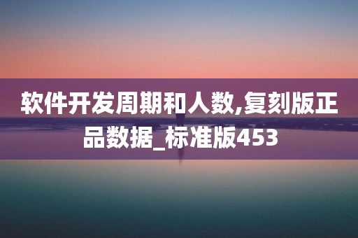 软件开发周期和人数,复刻版正品数据_标准版453