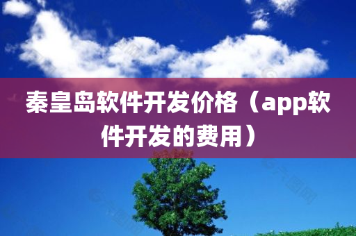 秦皇岛软件开发价格（app软件开发的费用）