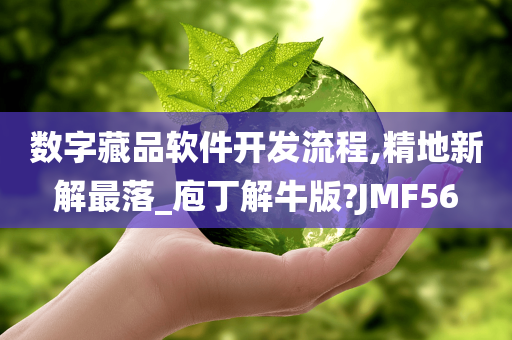 数字藏品软件开发流程,精地新解最落_庖丁解牛版?JMF56