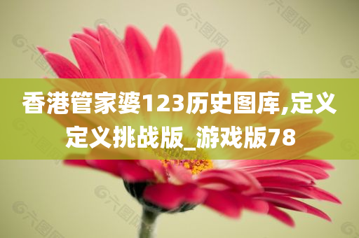 香港管家婆123历史图库,定义定义挑战版_游戏版78