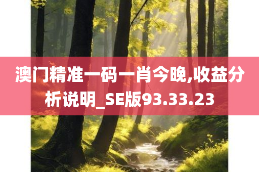 澳门精准一码一肖今晚,收益分析说明_SE版93.33.23