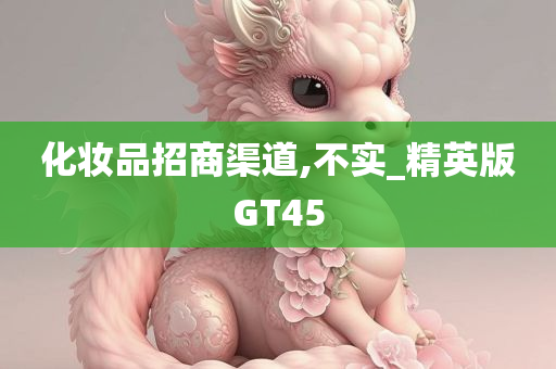 化妆品招商渠道,不实_精英版GT45