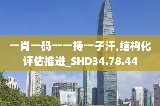 一肖一码一一持一子汗,结构化评估推进_SHD34.78.44