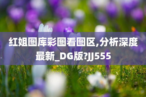 红姐图库彩图看图区,分析深度最新_DG版?JJ555