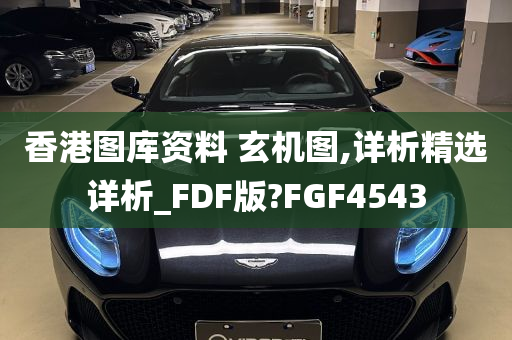 香港图库资料 玄机图,详析精选详析_FDF版?FGF4543