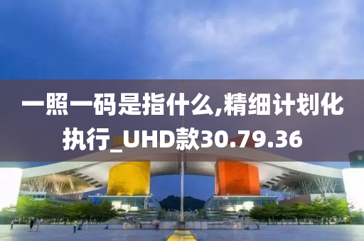 一照一码是指什么,精细计划化执行_UHD款30.79.36