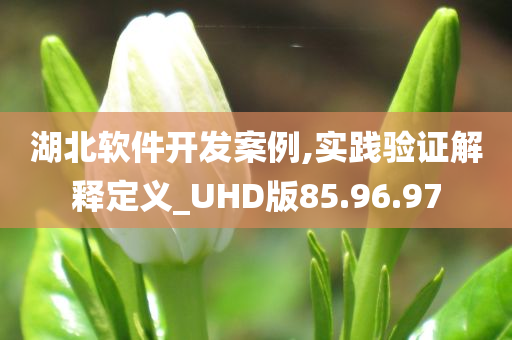 湖北软件开发案例,实践验证解释定义_UHD版85.96.97