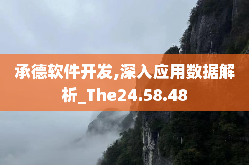 承德软件开发,深入应用数据解析_The24.58.48