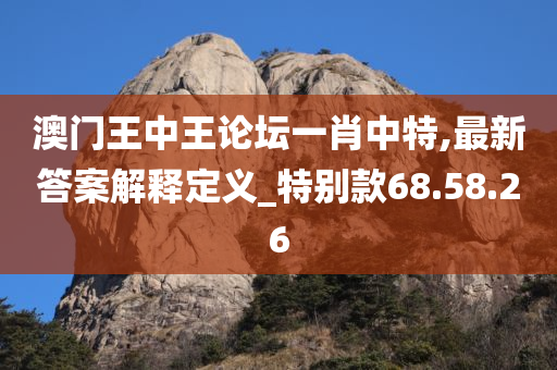 澳门王中王论坛一肖中特,最新答案解释定义_特别款68.58.26