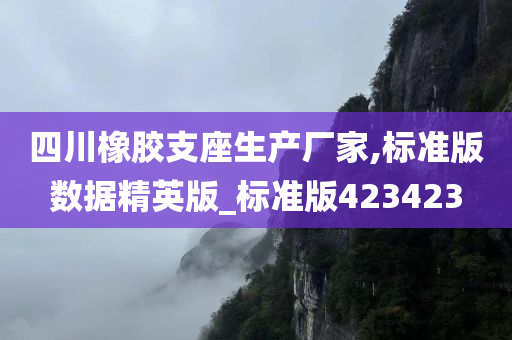 四川橡胶支座生产厂家,标准版数据精英版_标准版423423