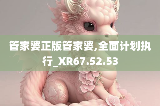 管家婆正版管家婆,全面计划执行_XR67.52.53