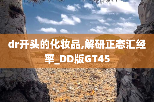 dr开头的化妆品,解研正态汇经率_DD版GT45