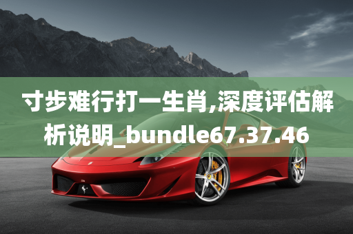 寸步难行打一生肖,深度评估解析说明_bundle67.37.46