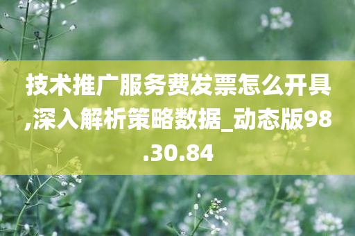 技术推广服务费发票怎么开具,深入解析策略数据_动态版98.30.84