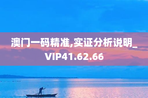 澳门一码精准,实证分析说明_VIP41.62.66