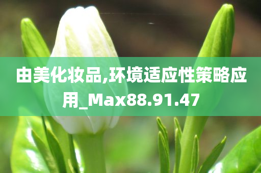 由美化妆品,环境适应性策略应用_Max88.91.47