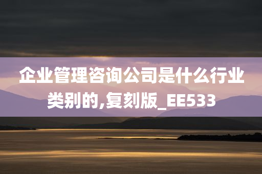 企业管理咨询公司是什么行业类别的,复刻版_EE533