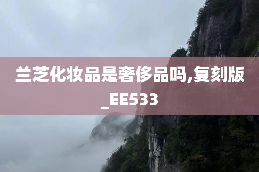 兰芝化妆品是奢侈品吗,复刻版_EE533