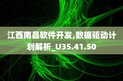 江西南昌软件开发,数据驱动计划解析_U35.41.50