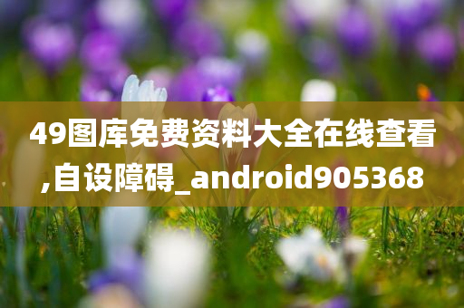 49图库免费资料大全在线查看,自设障碍_android905368