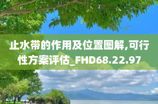 止水带的作用及位置图解,可行性方案评估_FHD68.22.97