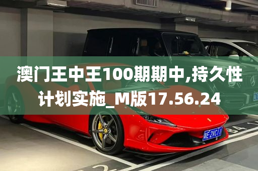 澳门王中王100期期中,持久性计划实施_M版17.56.24