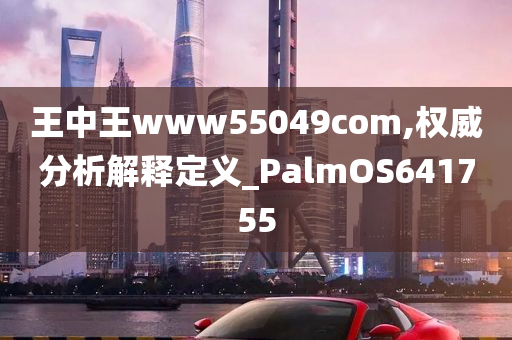 王中王www55049com,权威分析解释定义_PalmOS641755