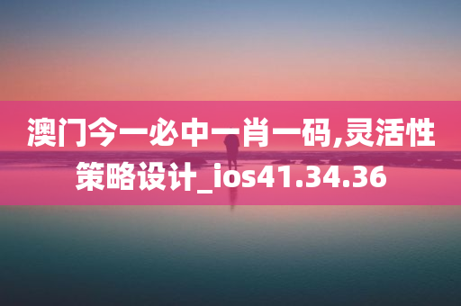 澳门今一必中一肖一码,灵活性策略设计_ios41.34.36