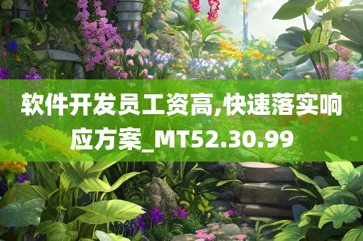 软件开发员工资高,快速落实响应方案_MT52.30.99