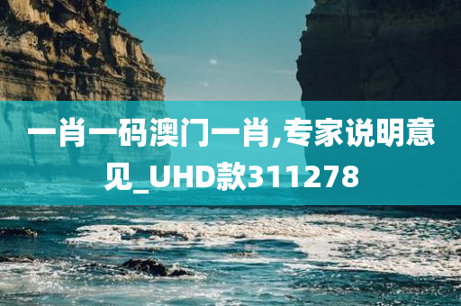 一肖一码澳门一肖,专家说明意见_UHD款311278