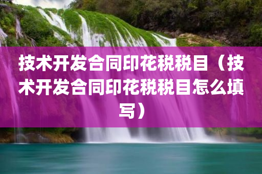 技术开发合同印花税税目（技术开发合同印花税税目怎么填写）