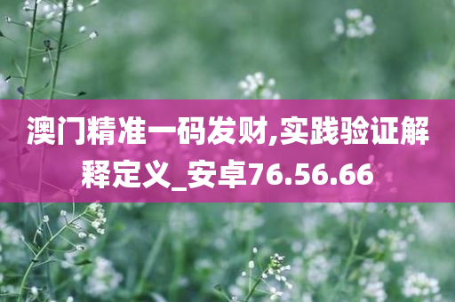 澳门精准一码发财,实践验证解释定义_安卓76.56.66