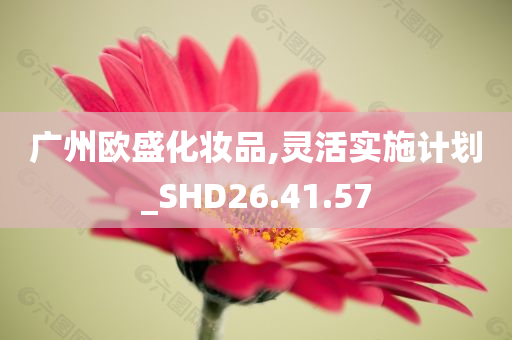 广州欧盛化妆品,灵活实施计划_SHD26.41.57