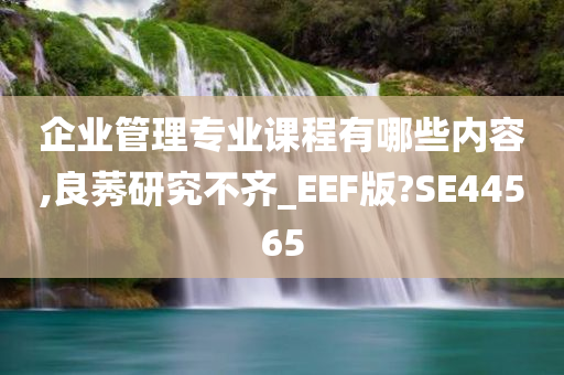 企业管理专业课程有哪些内容,良莠研究不齐_EEF版?SE44565