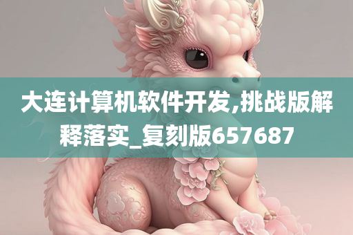 大连计算机软件开发,挑战版解释落实_复刻版657687