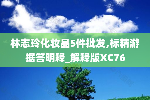 林志玲化妆品5件批发,标精游据答明释_解释版XC76