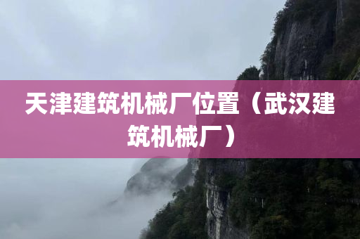 天津建筑机械厂位置（武汉建筑机械厂）