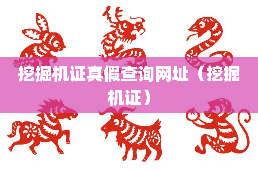 挖掘机证真假查询网址（挖掘机证）