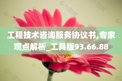 工程技术咨询服务协议书,专家观点解析_工具版93.66.88