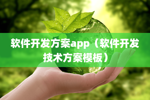 软件开发方案app（软件开发技术方案模板）