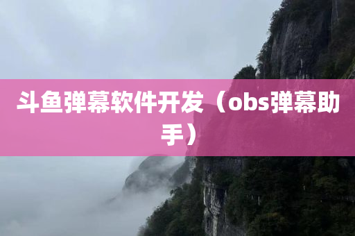 斗鱼弹幕软件开发（obs弹幕助手）